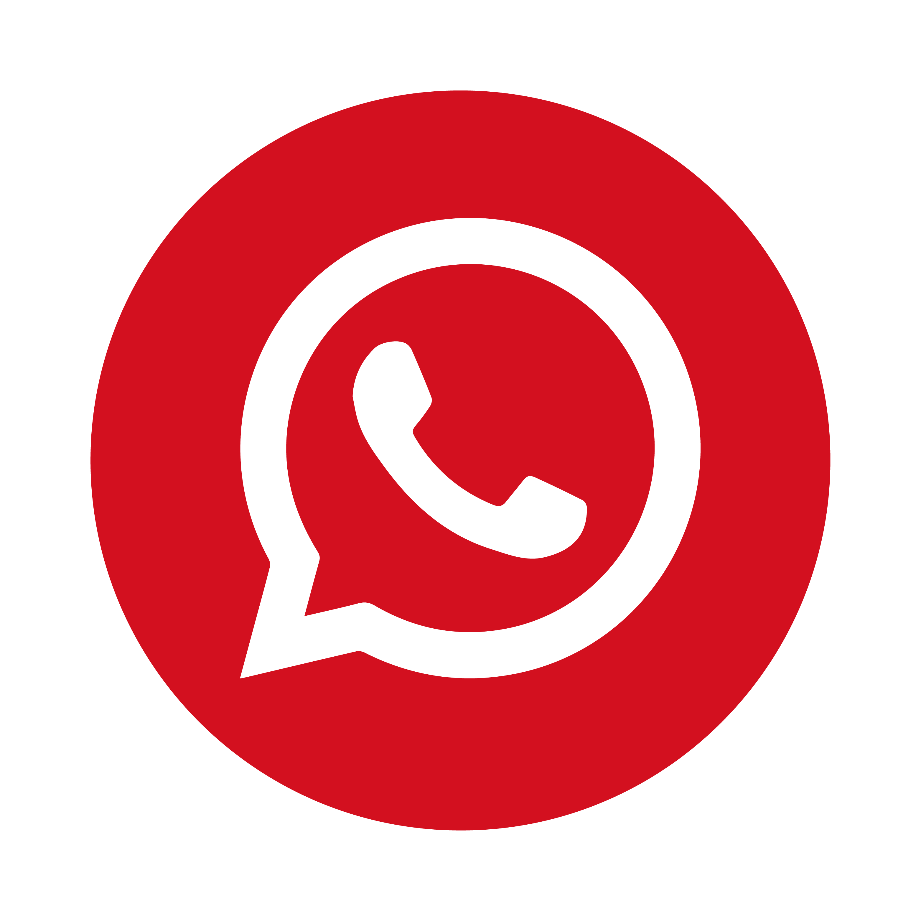 Whatsapp icon